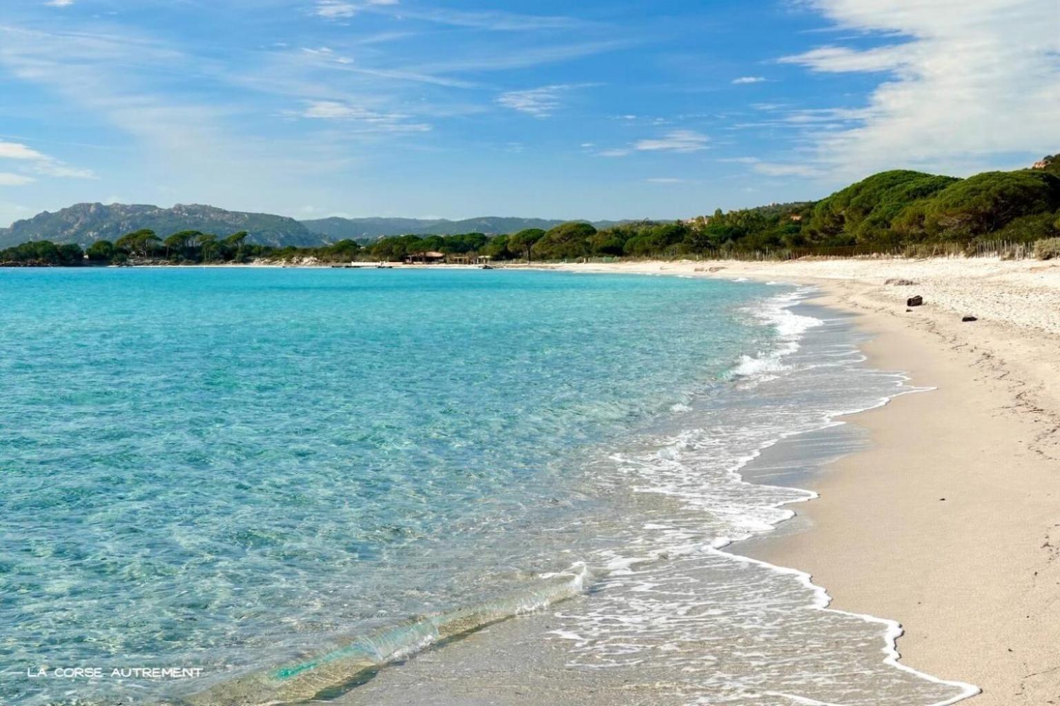 Bel Appartement Spacieux A Porto-Vecchio, 10Min A Pieds Du Centre Ville Εξωτερικό φωτογραφία